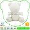Newest Hot Selling High Standard Custom Soft Plush Toy Wholesale Recordable Teddy Bear