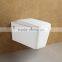 Square One-piece Water Closet