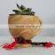 Design Cute Garden Decoration Small Resin Plant Nursery Pot