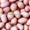 peanut kernels,blanched peanut ,peanut in shell,roasted peanut kernels,roasted peanut chopped and splits,roasted peanut inshell