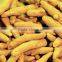 Turmeric Fingers Whole & Grinded