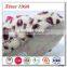 fashion very soft sexy ladies shoes from china