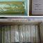natural bamboo barbecue sticks stick