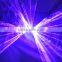 Double Rose and Rose Laser Show