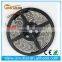 5-Meter Waterproof Flexible Color Changing RGB SMD5050 300 LEDs Light Strip Kit with Remote Control
