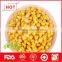 Vacuum packing frozen yellow corn kernels for wholesale