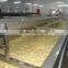 china sushi ginger to europe market