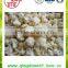 Exporter of IQF Frozen Cauliflower