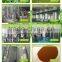 GMP Factory Supply 100% Natural Mulberry Leaf Extract