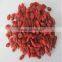 goji berries