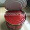 oem brand names different brix fresh red color bulk tomato paste