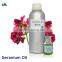 hot selling geranium oil/geranium oil price/geranium essential oil for sale