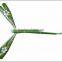 Best Selling Container Various Designs Bamboo Dragonfly