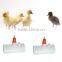 Chicken Hen Duck Poultry Waterer Drinker Nipple Automatic Water Drinking