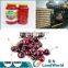 Best Price Automatic canned cherries Palletizer