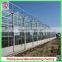 Hot sale multi-span glass 6.4m galvanized steel frame greenhouses for agriculture