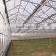 Arch Roof Type Tunnel Greenhouse Polycarbonate Greenhouse Octagonal Greenhouse