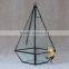 Indoor decor hanging glass terrarium micro landscape plant glass greenhouse
