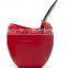 Argentina Silicone Mate Gourd Yerba Tea Cup With Bombilla/Straw