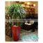 Hot Selling Colorful Plastic Flower Pot for Home Decoration