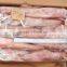 sea Frozen Loligo chinensis ,for Italy ,Greece et ,EU market