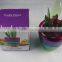 trade assurance supplier for fruit plant smart kitchen tool kitchen accessory