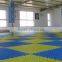 Taekwondo Mat/puzzle Mat/martial Arts Mat/aikido