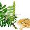 Boswellia Extract