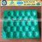 FDA Approval Vacuum Formed Blister Packaging 29x49cm Alveolus PP Tray For Fresh Fruits