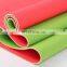 Eco friendly gym home exercise yoga mat TPEmaterial