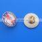 Knust Ghana international student's association pin badge