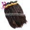 Hgih quality hair afro kinky weft wholesale brazilian human hair bulk