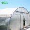 Small Shade Tunnel Greenhouse For Sale