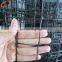 PP plastic square mesh extruded bird net