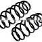 High quality coil spring with competitive price FOR 48231-52060