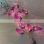 Hot Sale Unique Harvest Decoration Plastic Grape Shape String Light