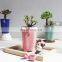 Factory direct sales of new flower language series ceramic fleshy flower pots