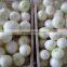 Full-automatic onion peeler/ onion peeling machine with favorable price (200kg/h)