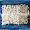 frozen water chestnut slice canned