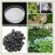 Buy Organic Ghana Seed Extract Powder Natural 5HTP 99% Powder Best Price Capsules Free Sample