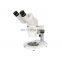 Binocular stereo dental lab microscope