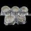 Sephcare best selling super shine mirror silver effect nail art powder