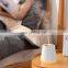 New Design beauty Model Rechargeable USB Air Humidifier with 2000mah Battery and Warm Night Light