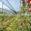 2m-8m Width Anti Bee Net Hail Protecting Net