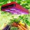 120 degree full spectrum indoor 450w led grow lighting