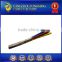 Factory 450deg.C High quality temperature Shield electric Wire cable