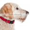 Neoprene Peted Dog Training Collar