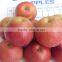 Fresh Red Fuji Apples 2016