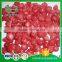Hot Sale Healthy Iqf Frozen FD Strawberry