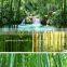 Simple Country Scenery Style Beautiful 3D Tree Wall Mural Home Decorative Forest Landscape Natural Bamboo Wallpaper                        
                                                Quality Choice
                                                    